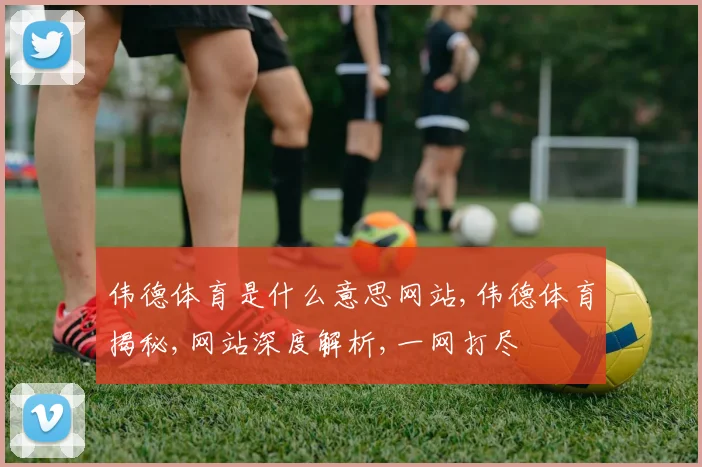 伟德体育是什么意思网站,伟德体育揭秘,网站深度解析,一网打尽