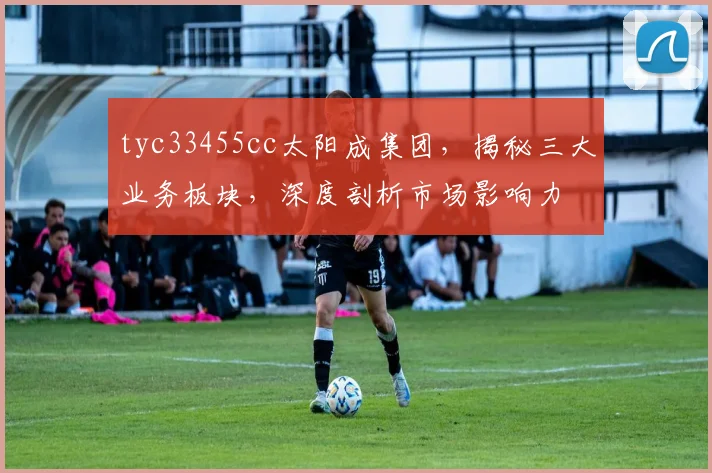 tyc33455cc太阳成集团，揭秘三大业务板块，深度剖析市场影响力