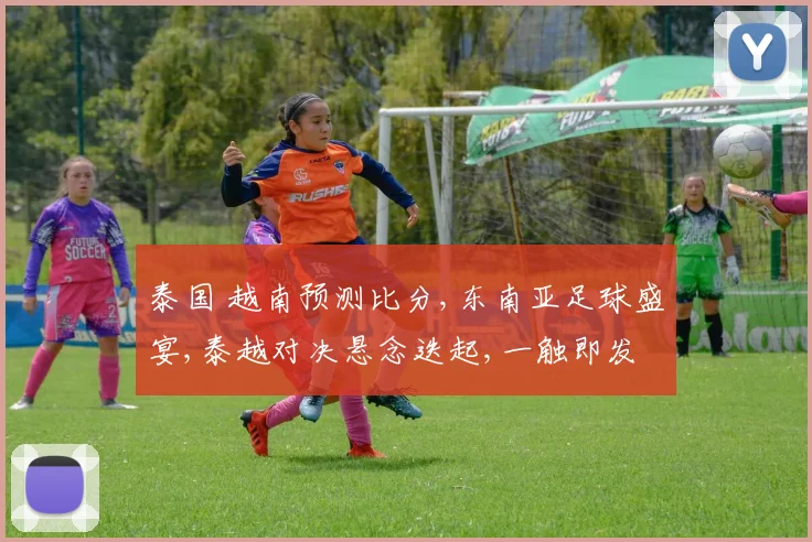 泰国 越南预测比分,东南亚足球盛宴,泰越对决悬念迭起,一触即发