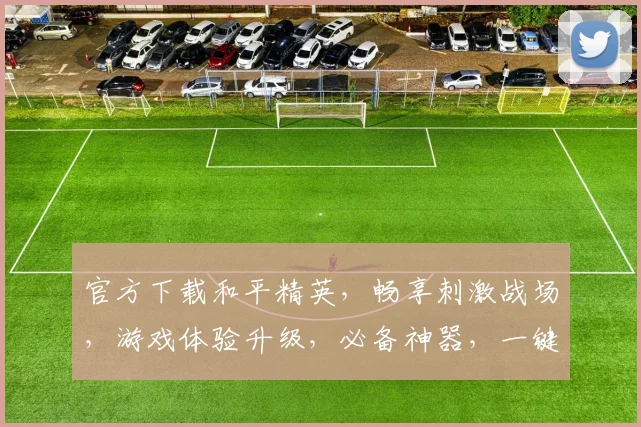 官方下载和平精英，畅享刺激战场，游戏体验升级，必备神器，一键安装，轻松上手